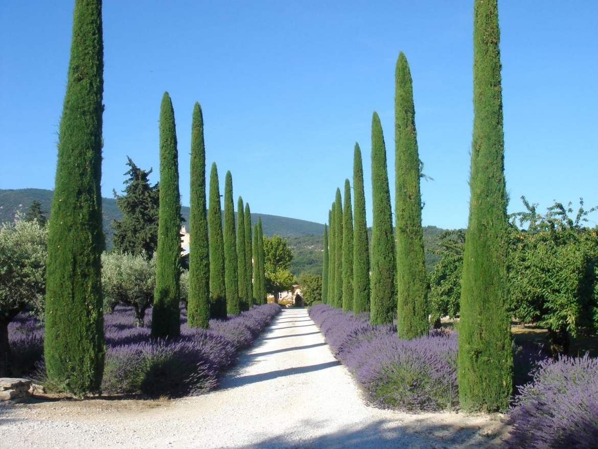 propriétés en Provence et côte d'Azur