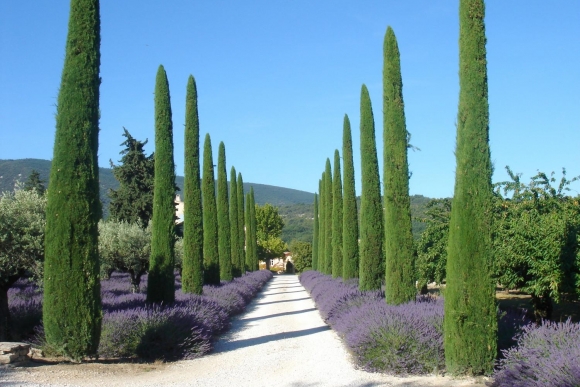 propriétés en Provence et côte d'Azur